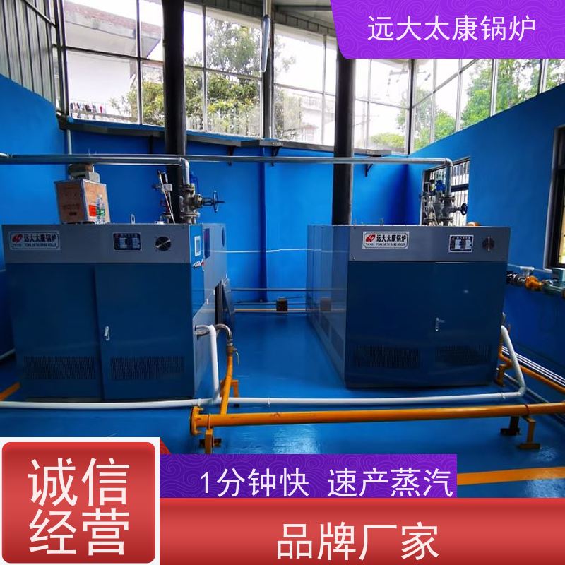 远大太康 4吨 燃气蒸汽发生器 板材加工 不需要办理锅炉使用证