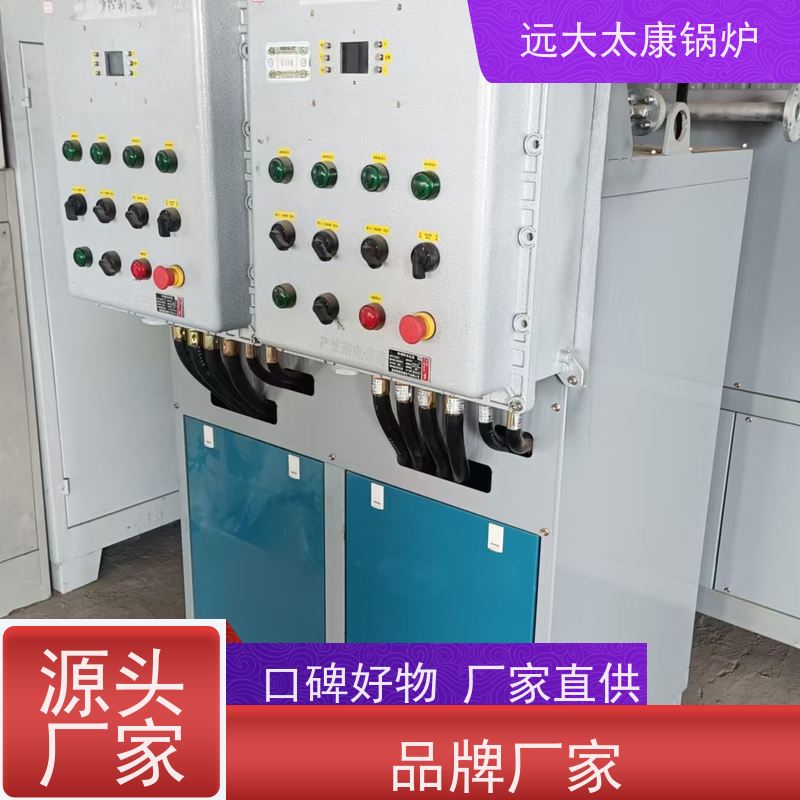 300KW 加热均匀 升温快 远大太康 电导热油炉 板材烘干房加温