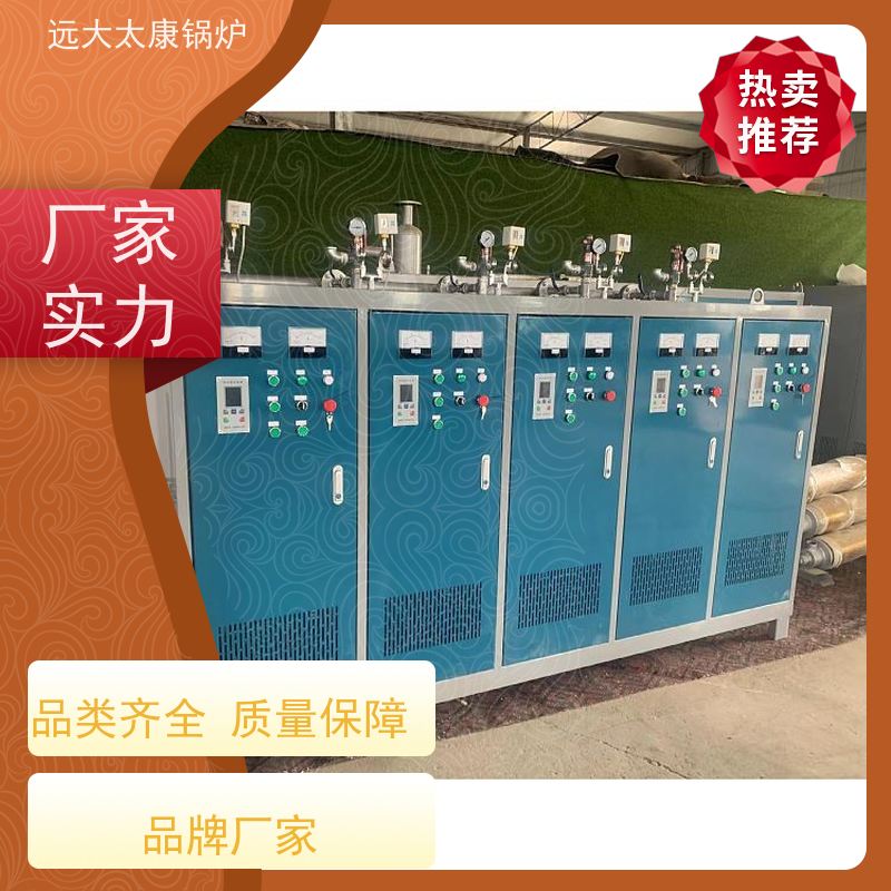 免监检 桥梁 水泥制品养护 容水量＜30L 免报检 电蒸汽发生器