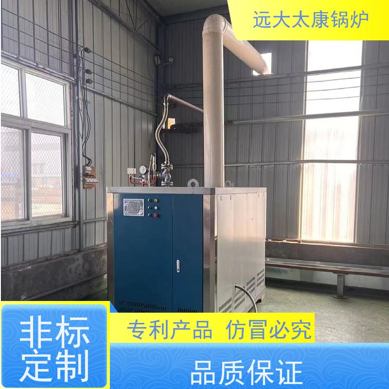 远大太康 4吨 D级燃气蒸汽锅炉 水泥制品养护 免报检 撬装出厂