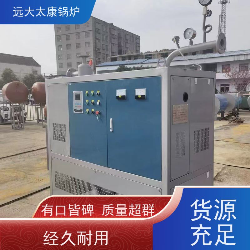 小型卧式 加热均匀 升温快 远大太康 电导热油炉 板材烘干房加温