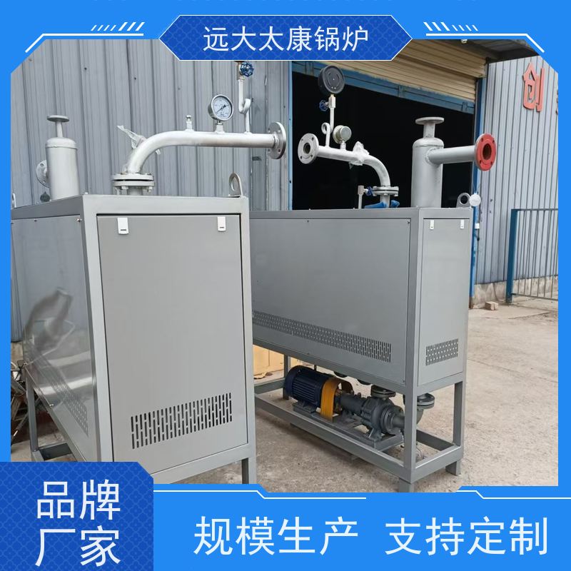 小型卧式 运行温度控制±1℃ 远大太康 电导热油炉 油炸食品恒温加热