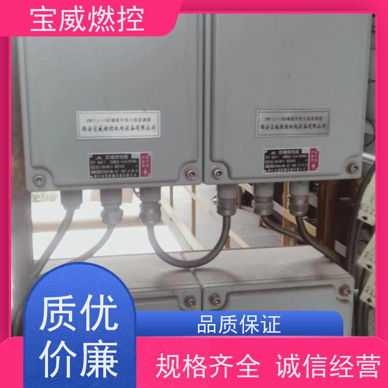 宝威燃控 在线火焰检测仪 防爆分体式 厂家供货常备库存 快速响应