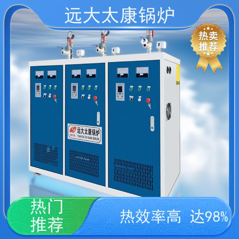 36KW 食品豆制品加工 容水量＜30L 免报检 电蒸汽发生器