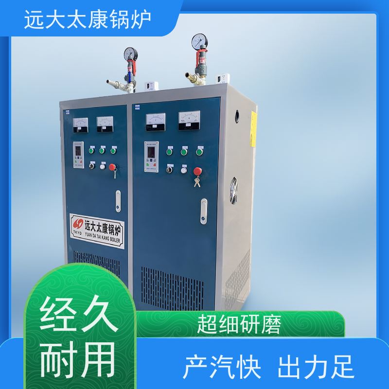 小型立式 桥梁 水泥制品养护 容水量＜30L 免报检 电加热蒸汽发生器