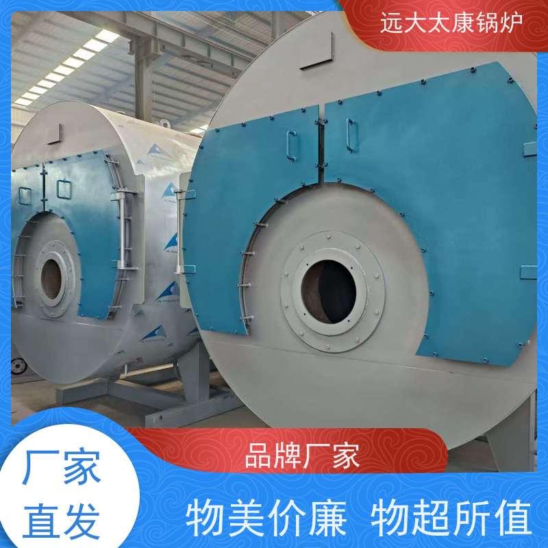 3吨 豆制品 竹笋食品加工 节省空间自动化程度高 远大太康 电蒸汽锅炉