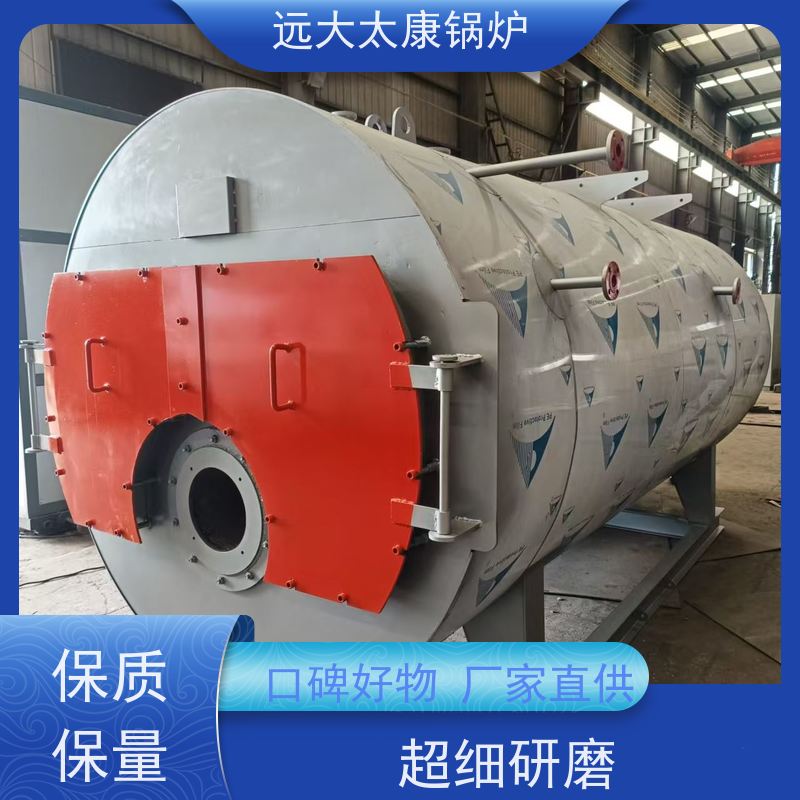 2吨 豆制品 竹笋食品加工 电蒸汽锅炉 远大太康 节省空间自动化程度高 