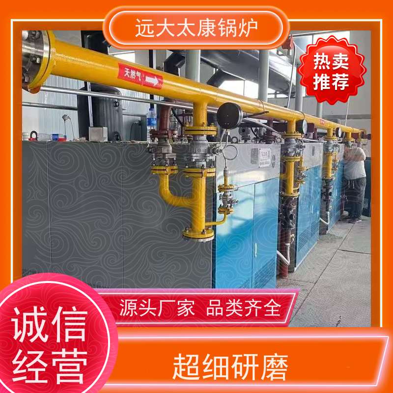 远大太康 1吨 蒸汽发生器 板材加工 D级锅炉标准 容水量＜50L 无需年审
