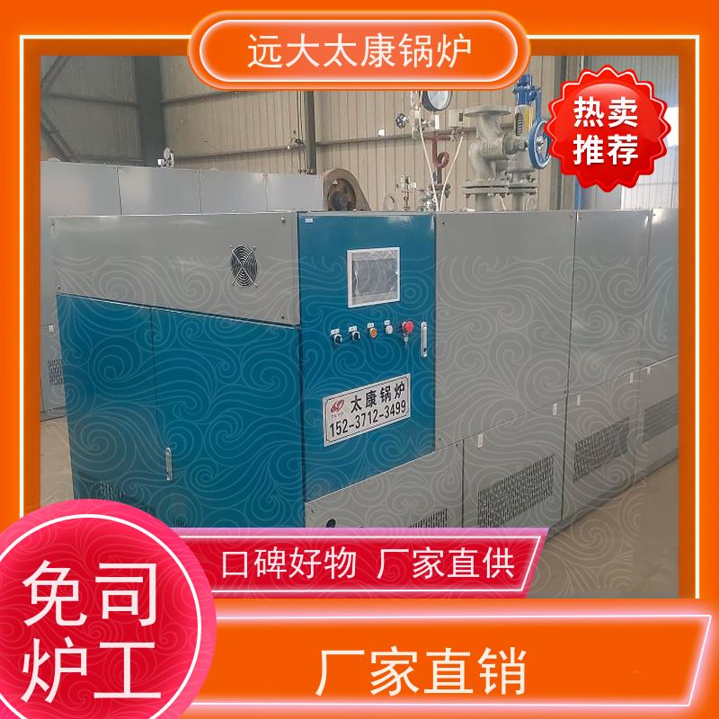 远大太康 3吨 蒸汽发生器 板材加工 D级锅炉标准 容水量＜50L 无需年审