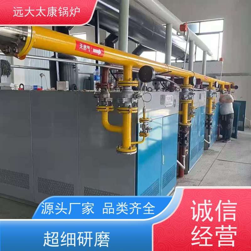 远大太康 0.5吨 直流蒸汽发生器 板材加工 不需要办理锅炉使用证