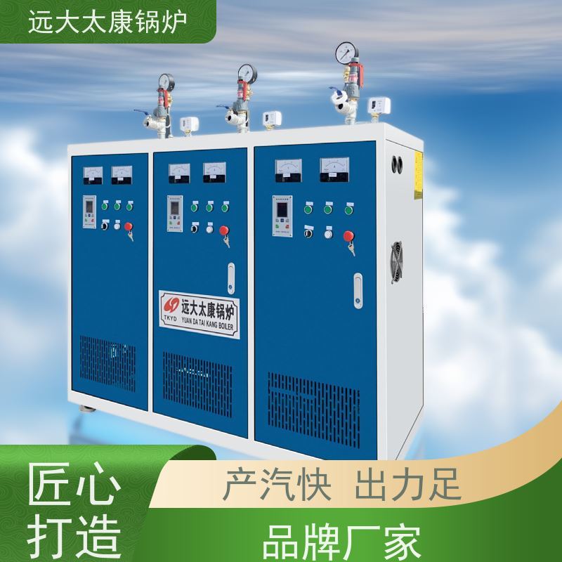 360KW 桥梁 水泥制品养护 容水量＜30L 免报检 电加热蒸汽发生器