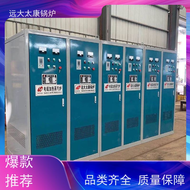 小型立式 桥梁 水泥制品养护 蒸汽纯度高 出汽足 电加热蒸发器
