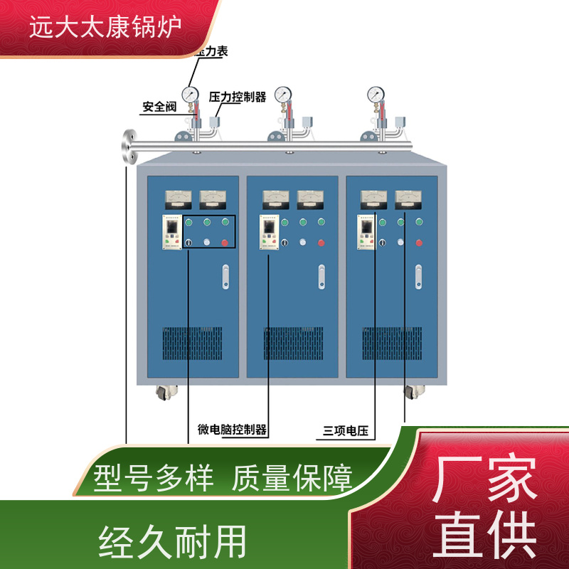 远大太康 电加热蒸发器 食品豆制品加工 容水量＜30L 免报检