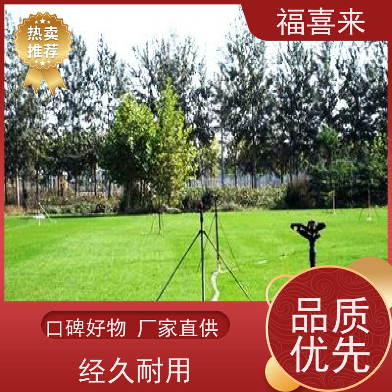 福喜来苗圃 马尼拉草皮出售 道路园区绿化用 工程草坪