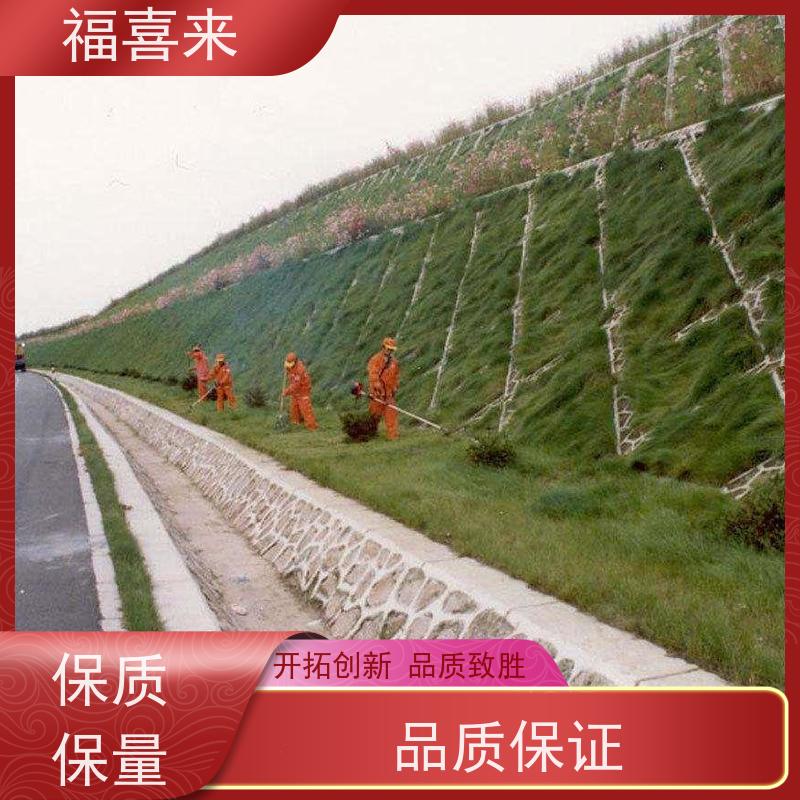 福喜来苗圃 马尼拉草皮批发 现挖现发品种齐全 草坪基地直发