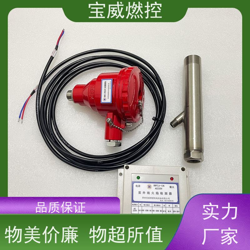 宝威燃控 BWFZJ-13K 封闭式火炬火焰检测器 快速发货