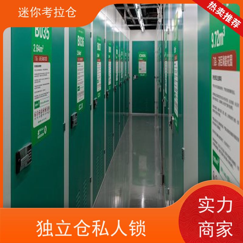 迷你考拉仓库租赁公司支持定制详情电联广州小型自助仓