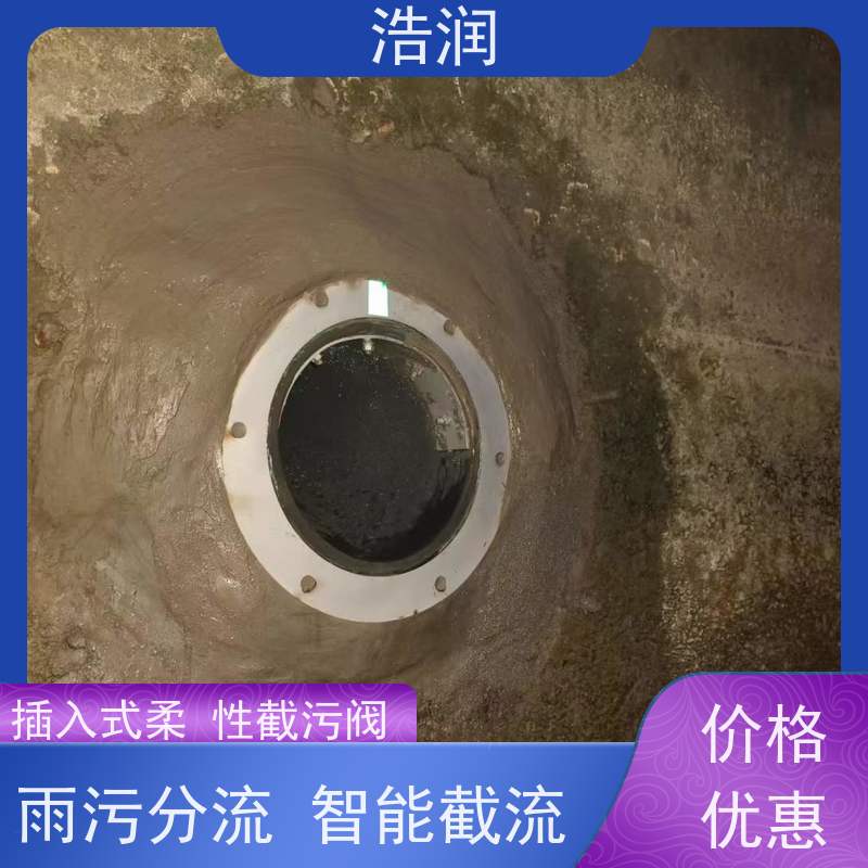 浩润 管中柔性防倒灌装置 防止水回流 诚信经营