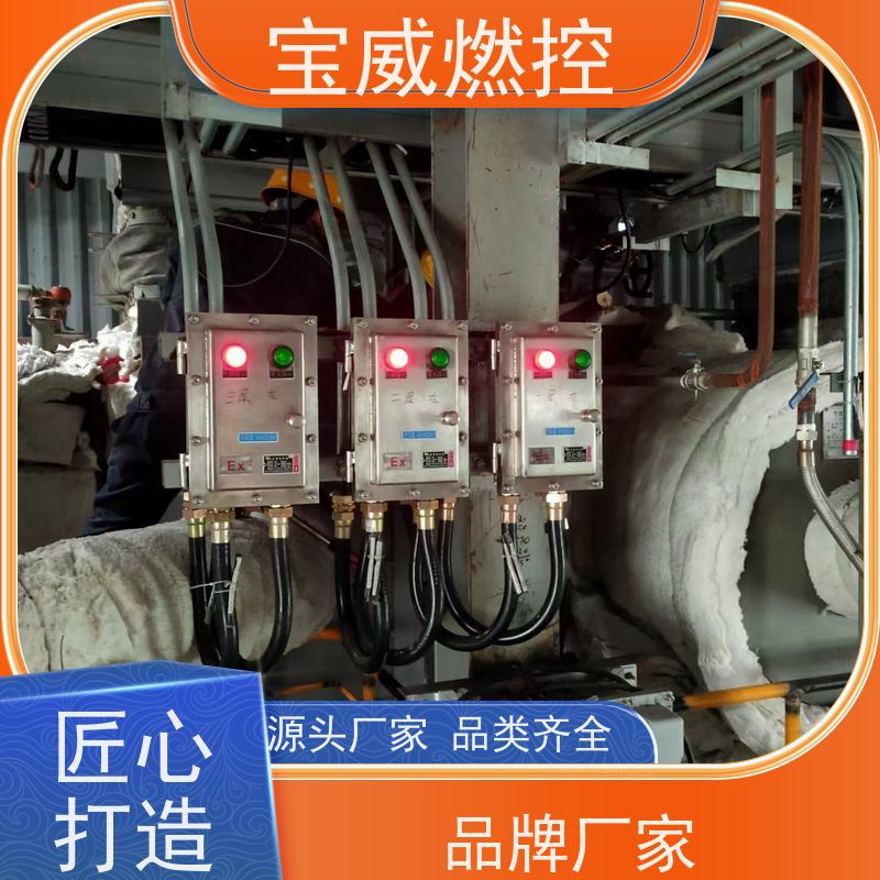 宝威燃控 可非标加工 在线火焰检测仪 防爆分体式