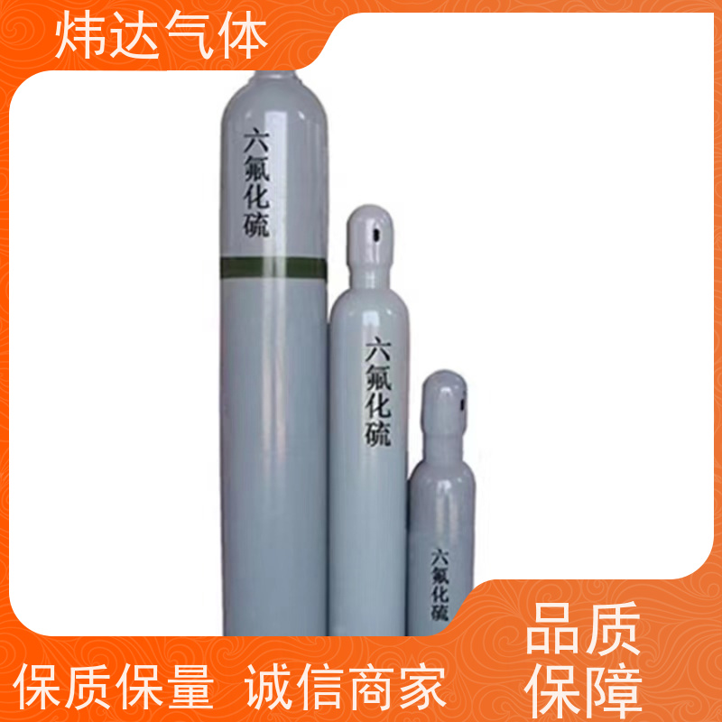 泵吸式六氟化硫含量传感器 高精度热导 手持式六氟化硫检测分析仪