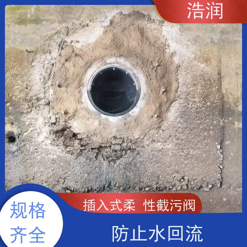 浩润 管中型回流止水阀 拍门 304不锈钢 品质可信