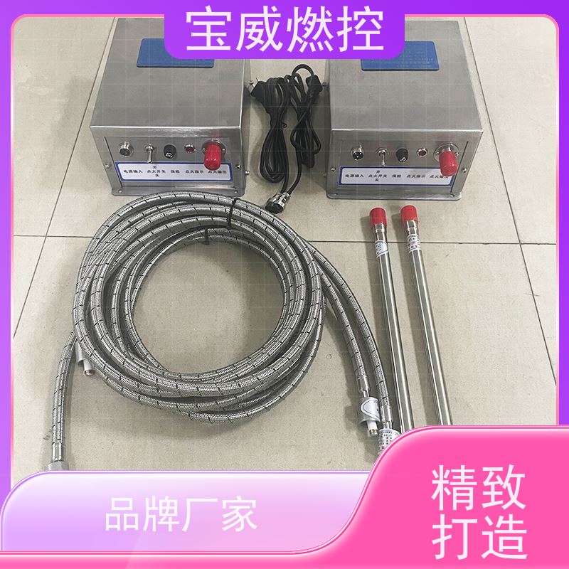 宝威燃控高能点火器BWGD-20C生产厂家定频调节点火频率