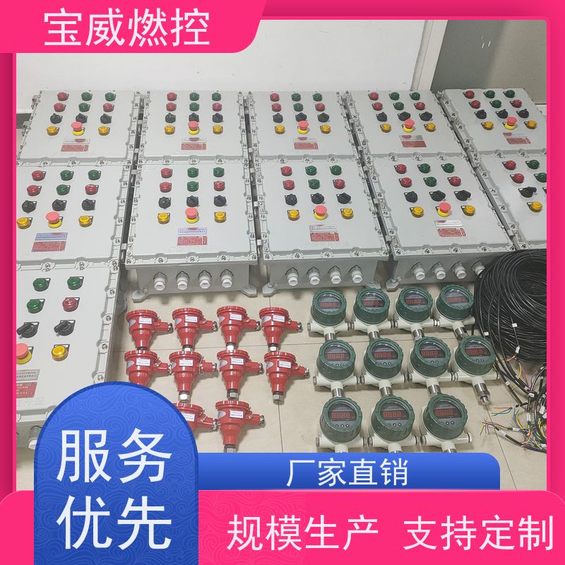 宝威燃控 台车炉 火焰检测熄火保护装置 远距离监测