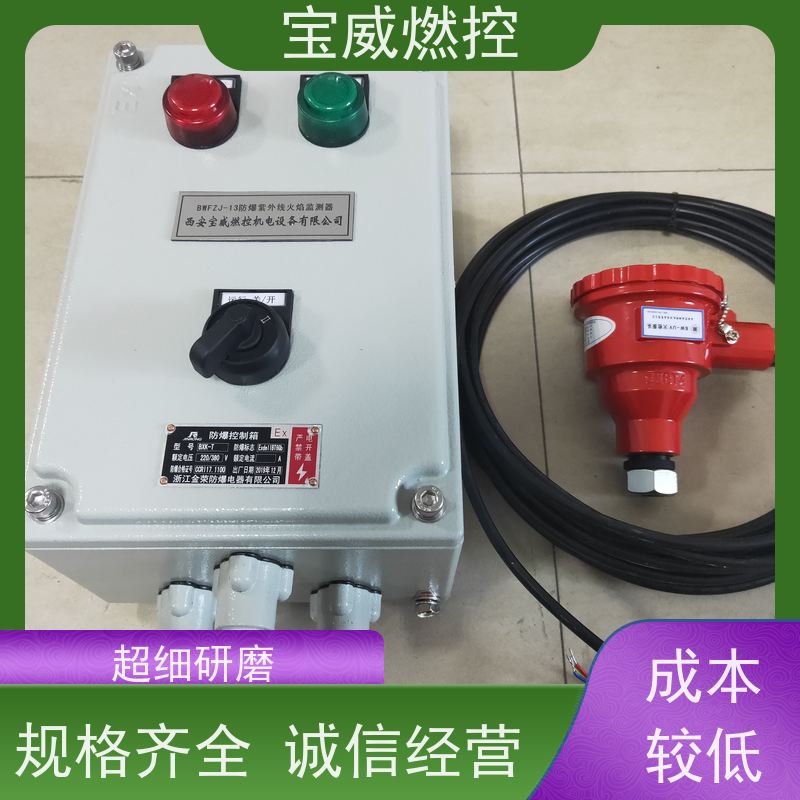 宝威燃控 灵敏度可调 生产加工发货速度快 防爆分体式 在线火焰检测仪
