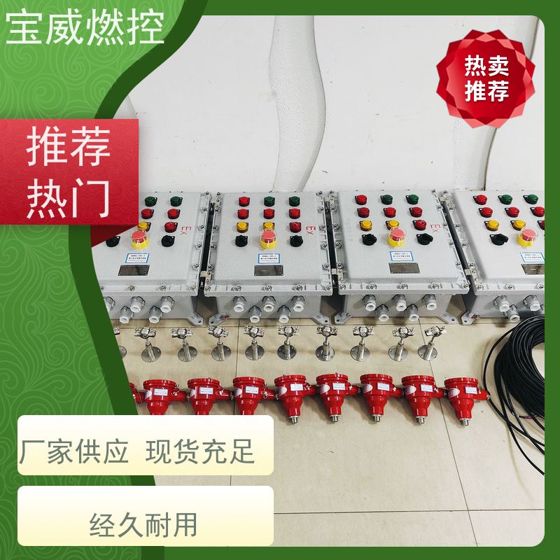 宝威燃控 管式炉 熄火检测控制器 快速响应 性能稳定