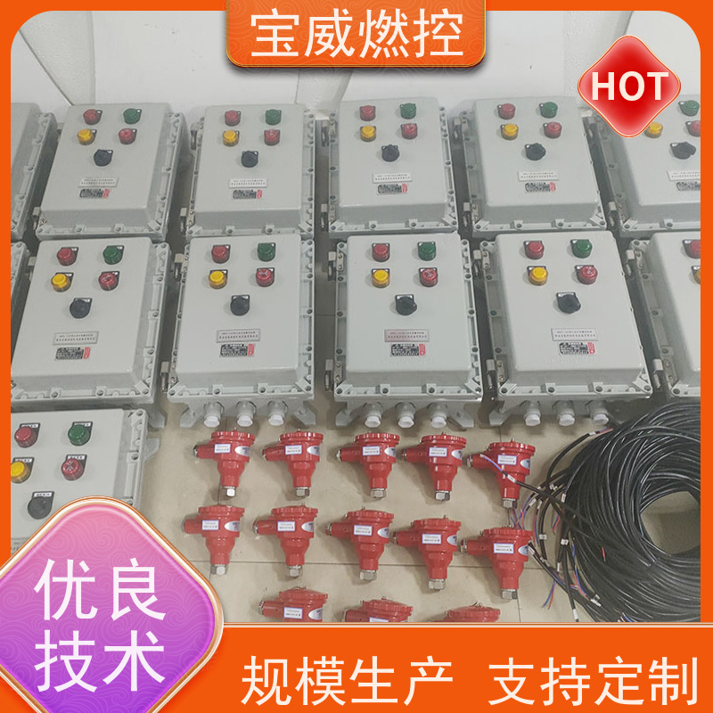 宝威燃控 卧式包 熄火检测保护装置 快速响应 性能稳定