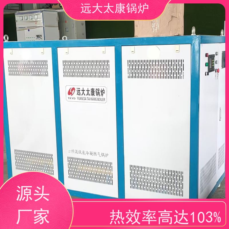 0.3吨 设计新颖 体积小 节省占地空间 燃气热水锅炉 远大太康