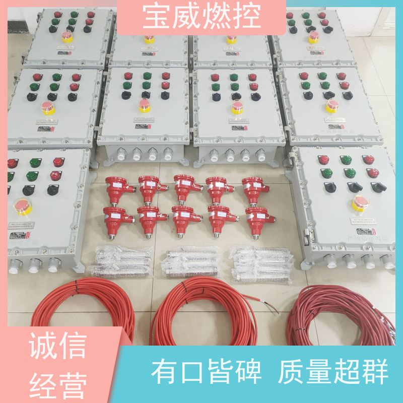 宝威燃控 工业炉 火焰监测熄火保护 快速响应 性能稳定