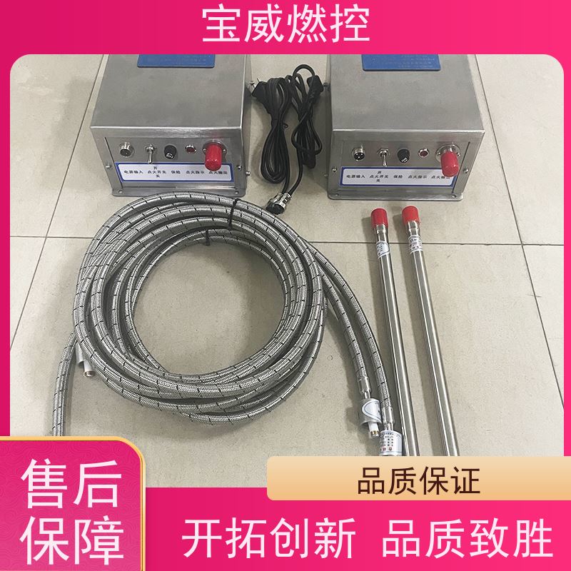 宝威燃控裂解炉电子点火装置技术参数输出DC2500V 储能20焦耳