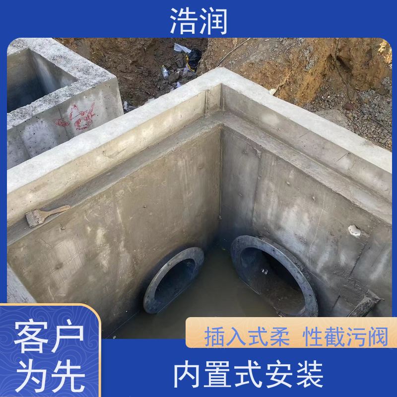 浩润 防倒灌自控截污设备 防止水回流 货源充足