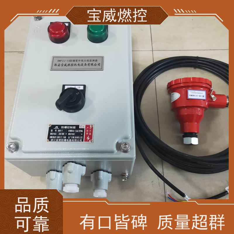 宝威燃控 锅炉火焰检测器 生产加工发货速度快 快速响应