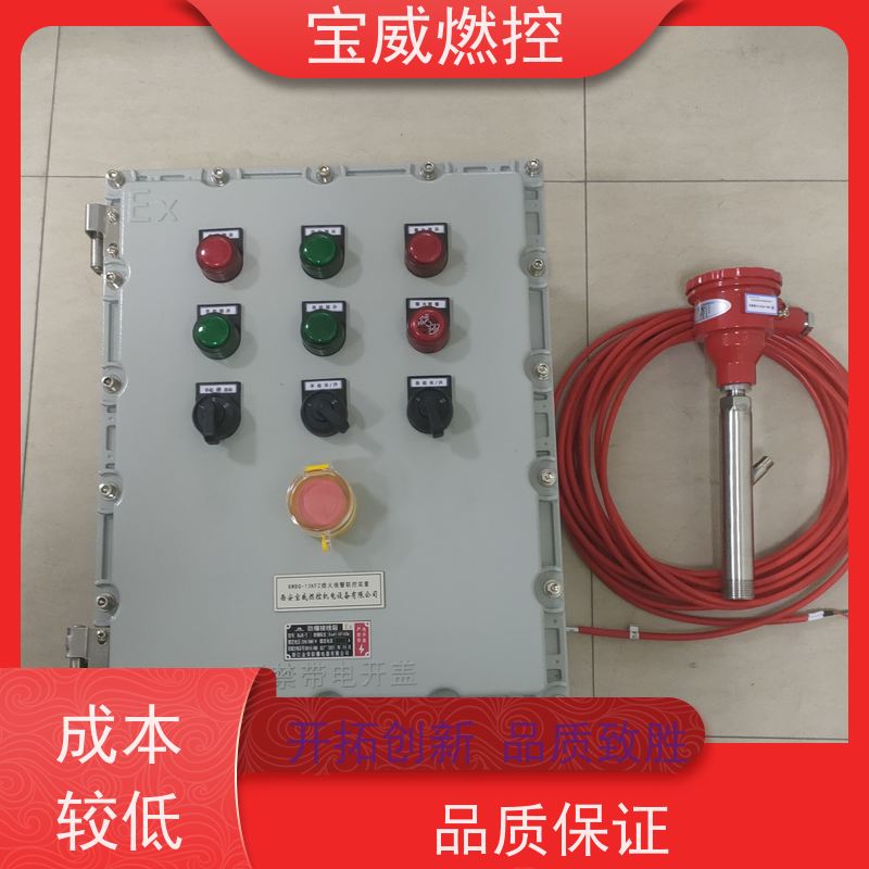 宝威燃控 厂家供货常备库存 水泥回转窑火焰检测器 远距离防爆