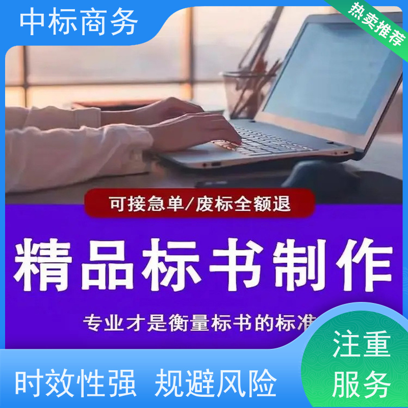 中标商务 成 都投标标书代 写代做 优秀的排版设计 为客户量身定制