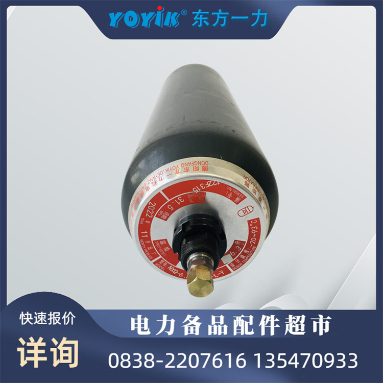 DONGFANG蓄能器皮囊NXQ-AB-25动力学优化提升效率