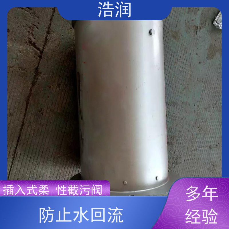 浩润 管中型回流止水阀 拍门 优选材料 持久耐用 可定制