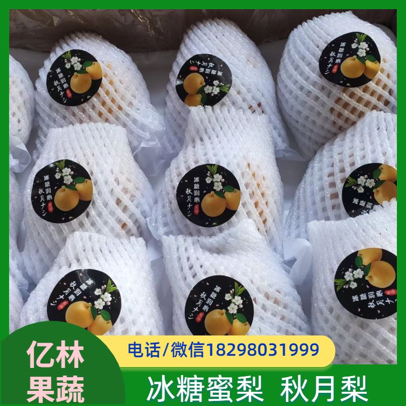 亿林苗木 奥红梨树苗 果实饱满味道好 南北方种植 香酥梨果树