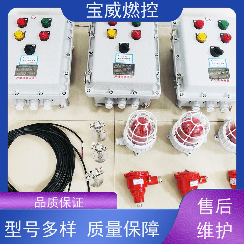 宝威燃控 化工厂 火焰监测熄火保护 快速响应 性能稳定