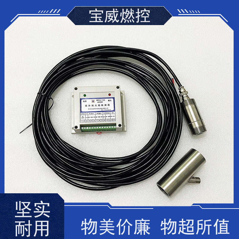 宝威燃控 分体式 加热炉火焰检测器 包含火检控制器和探头