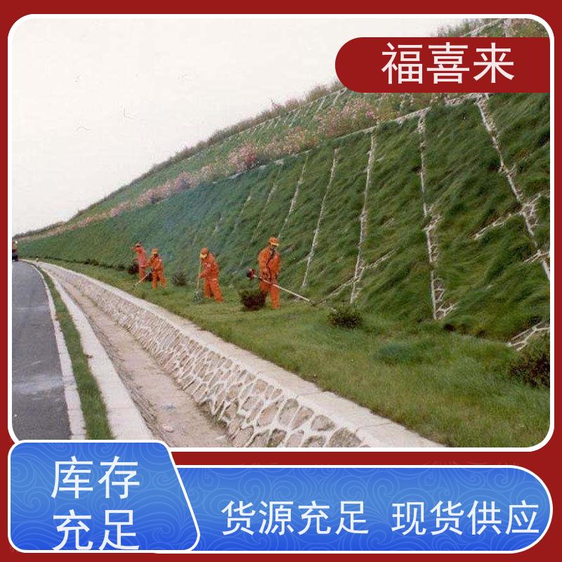 福喜来苗圃 马尼拉草皮 草坪基地直供 常绿耐踩踏