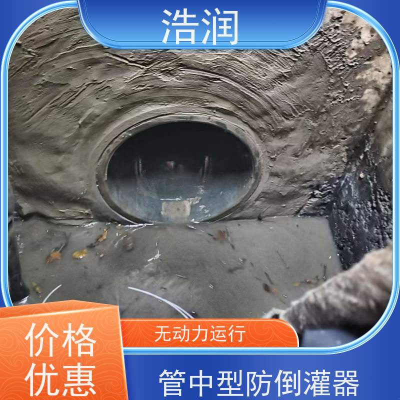 浩润 管中型内置式防倒灌器 无动力运行 品质可信