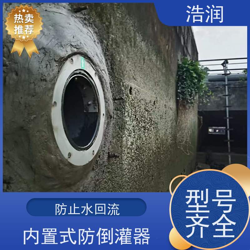 浩润 管中型防倒灌器 鸭嘴阀 处理污水量 10-8000m3/h 诚信经营