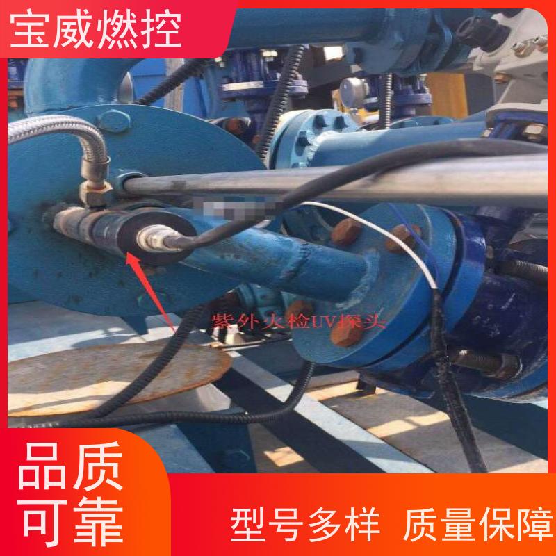 宝威燃控 灵敏度可调 可非标加工 防爆分体式 在线火焰检测仪