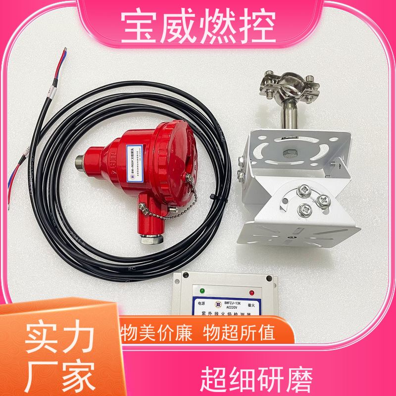 宝威燃控 模拟量信号 燃气工业炉膛火焰检测器 生产厂家