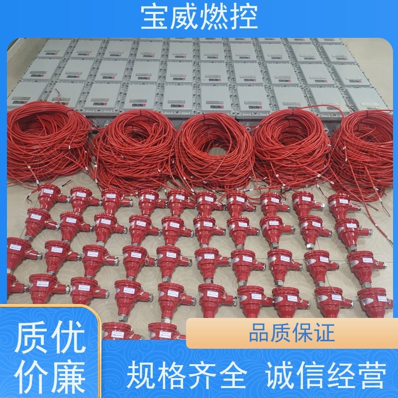 宝威燃控 可非标加工 灵敏度可调 在线火焰检测仪