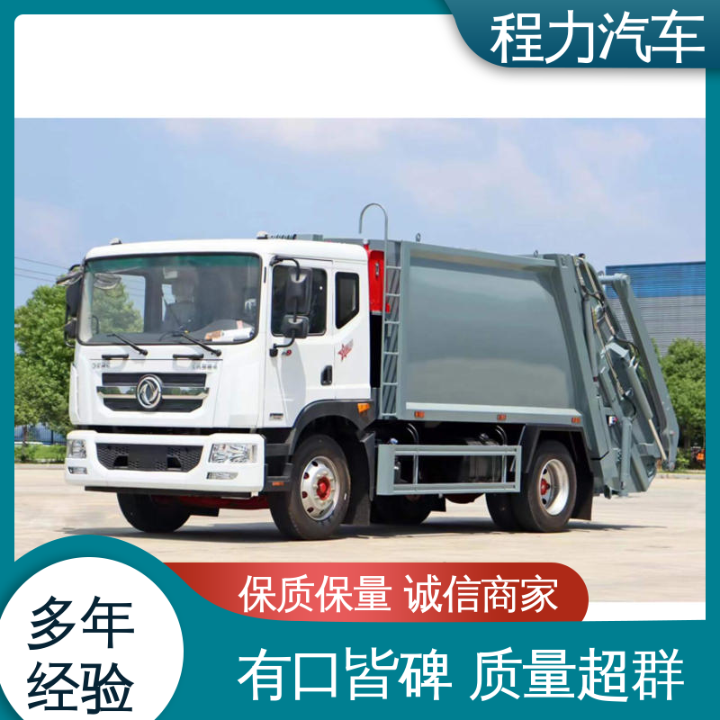 程力 12方 电动洗扫车 包送车上门 包上户 四季通用 清洁效率高