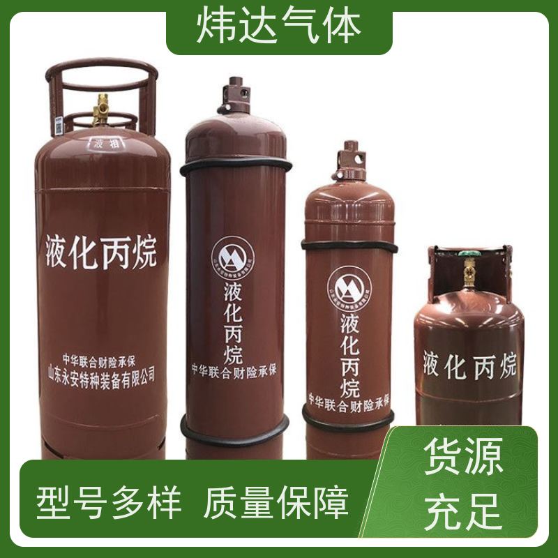 智能控压丙烷（LPG）炜达气体家用壁挂炉自动调节燃气罐